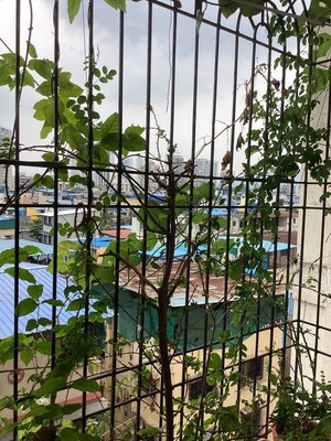 Balcony in 1 BHK Apartment at Shree Rajal Garden, Kopar Khairane – for Sale