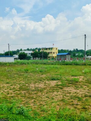 Plot Area in  Plot at Mannachanallur – for Sale