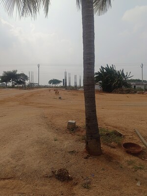 Plot Area in  Plot at Maheshwaram – for Sale