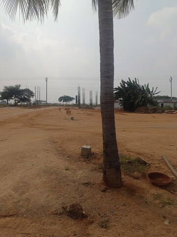 Plot Area in  Plot at Maheshwaram – for Sale