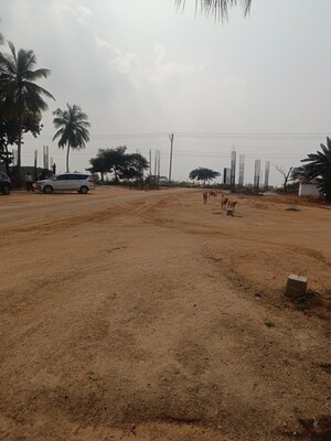  Plot – Exterior View View at Maheshwaram - for Sale