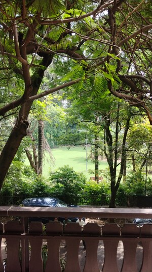 4 BHK Builder Floor – Garden View at Boutique Residential Apartments A 3 2, Vasant Vihar - for Rent