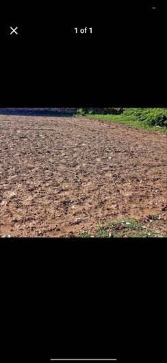 Plot For Sale in Sector 80