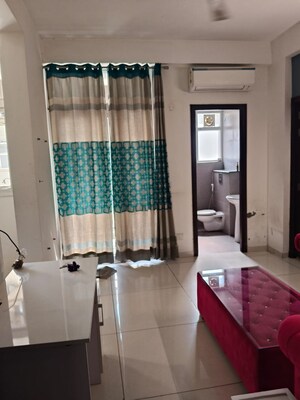 Living Room in 1 BHK Apartment at Barnala Green Lotus Avenue, Ambala Highway – for Rent