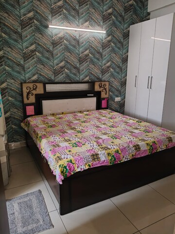 1 BHK Apartment For Rent in Barnala Green Lotus Avenue, Ambala Highway