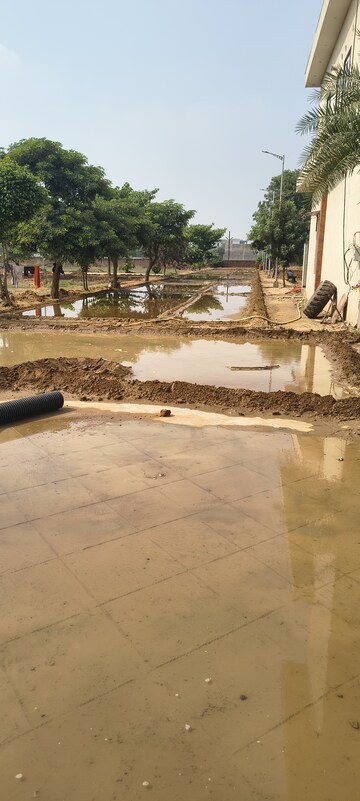  Plot – Exterior View View at Sujanpur - for Sale