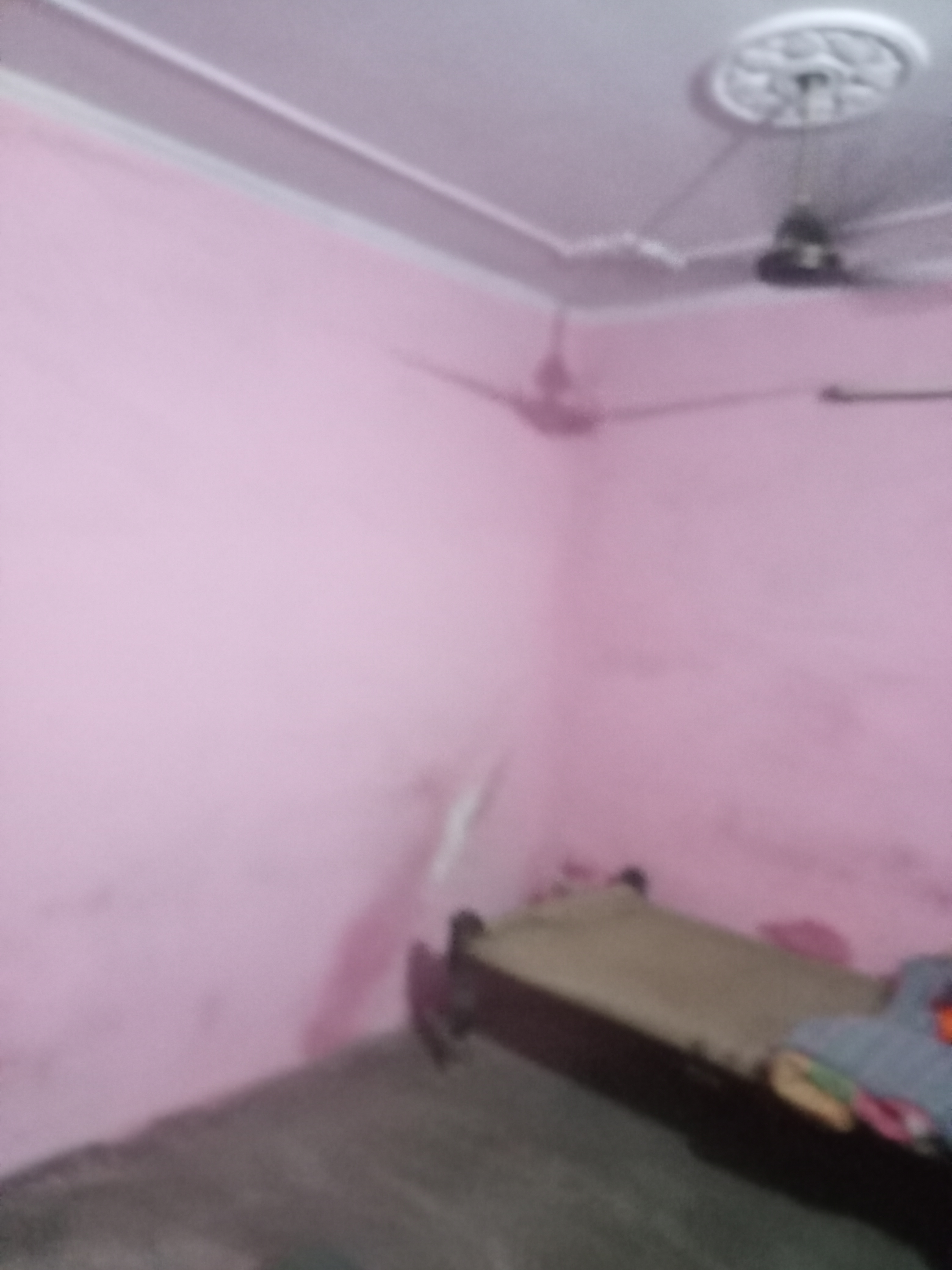 5 BHK + Extra Room Independent House For Sale in New Model Town