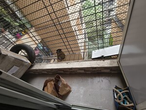 Balcony in 2 BHK Apartment at Cosmos Enclave, Kasarvadavali – for Sale