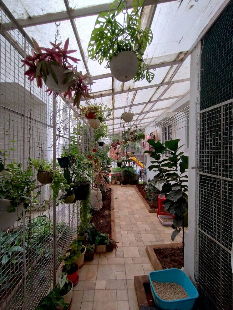 Balcony, paranjape-wind-fields 3 Bedroom 1834 Sq.Ft. Apartment In Kempapura Bangalore 9323042