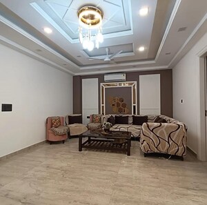 Living Room in 3 BHK Builder Floor at BP Homes, Sector 85 – for Sale