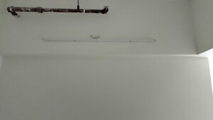 1 BHK Apartment For Rent in Runwal Gardens, Dombivli East