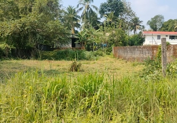 Plot Area in  Land at Kuttanellur – for Sale