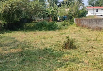 Plot Area in  Land at Kuttanellur – for Sale