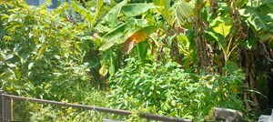  Plot For Sale in West Fort