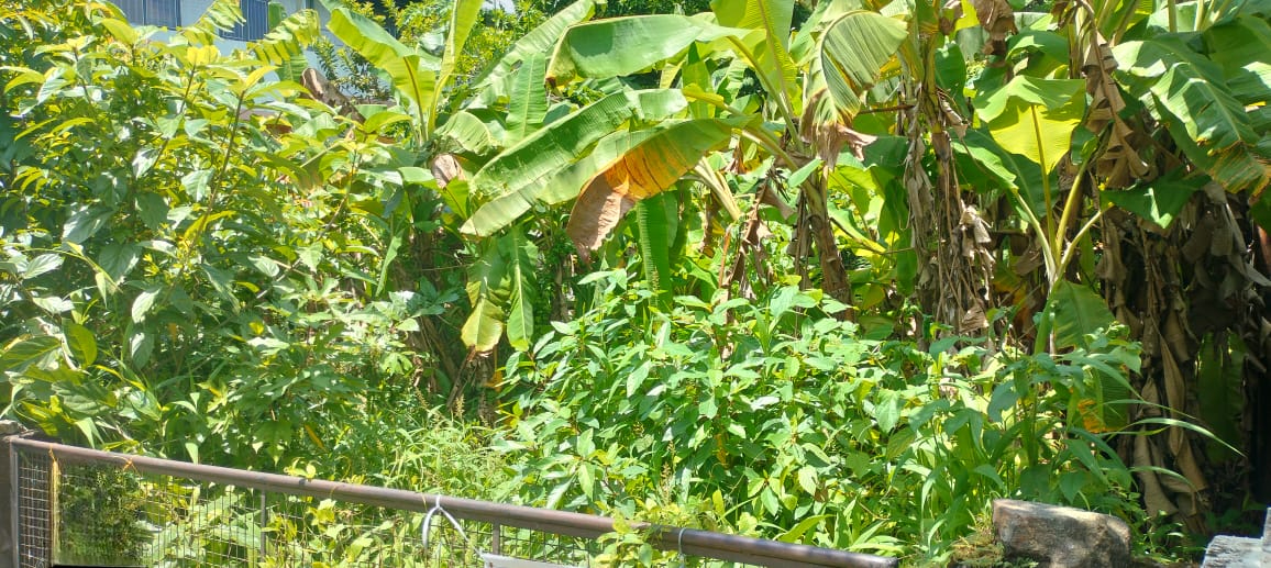 Plot For Sale in West Fort