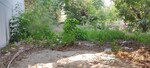 160 Sq.Yd. Plot in Sector 4