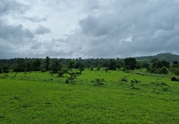Plot Area in  Plot at Mandangad – for Sale