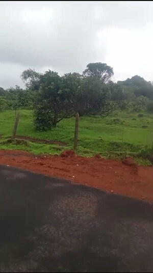 Plot Area in  Plot at Mandangad – for Sale