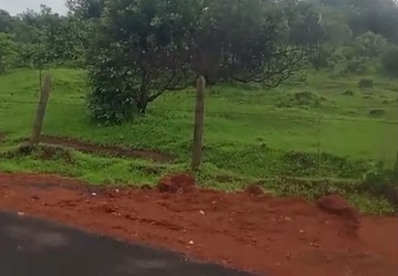 Plot Area in  Plot at Mandangad – for Sale