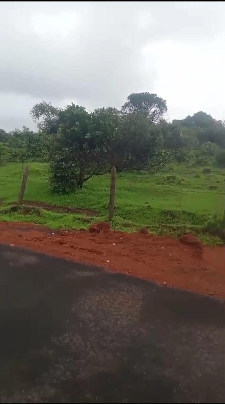undefined, mandangad  4 Acre Plot In Mandangad Ratnagiri 9323382
