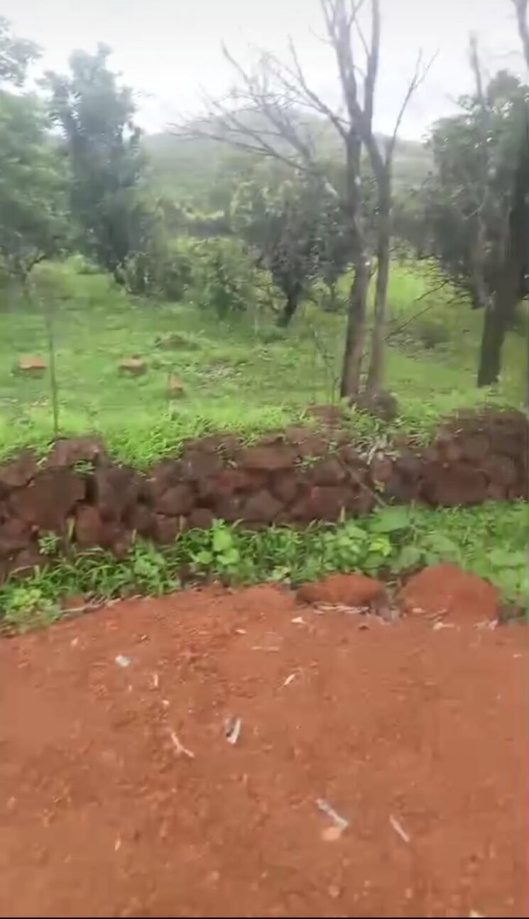 undefined, mandangad  4 Acre Plot In Mandangad Ratnagiri 9323382