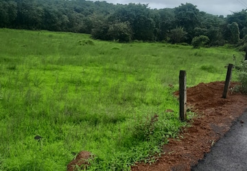 Plot Area in  Plot at Mandangad – for Sale