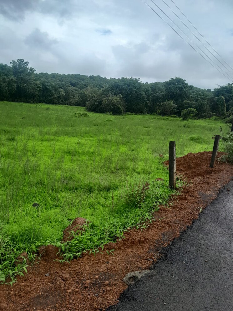 undefined, mandangad  4 Acre Plot In Mandangad Ratnagiri 9323382