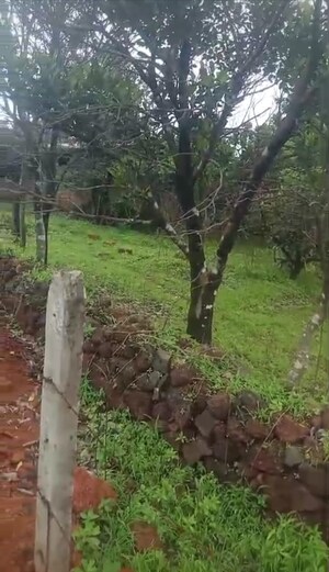  Plot – Garden View at Mandangad - for Sale