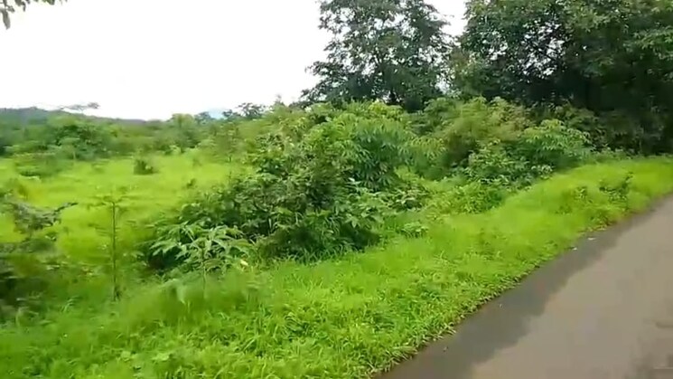 Garden, mandangad  4 Acre Plot In Mandangad Ratnagiri 9323382