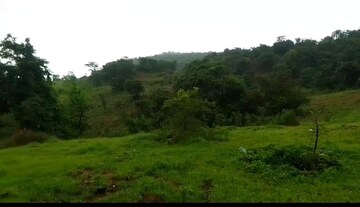 Plot Area in  Plot at Mandangad – for Sale