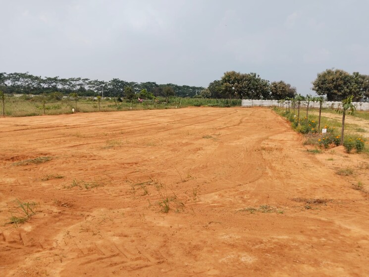 undefined, shadnagar  242 Sq.Yd. Plot In Shadnagar Hyderabad 9323500