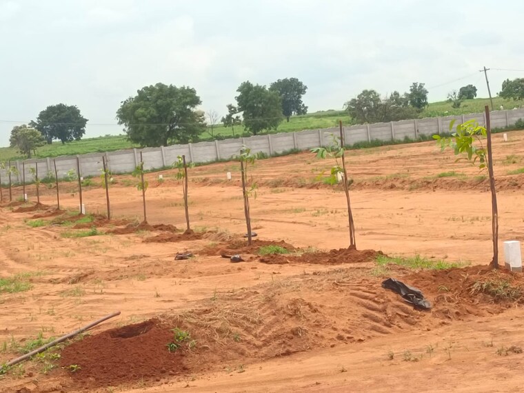 undefined, shadnagar  242 Sq.Yd. Plot In Shadnagar Hyderabad 9323500