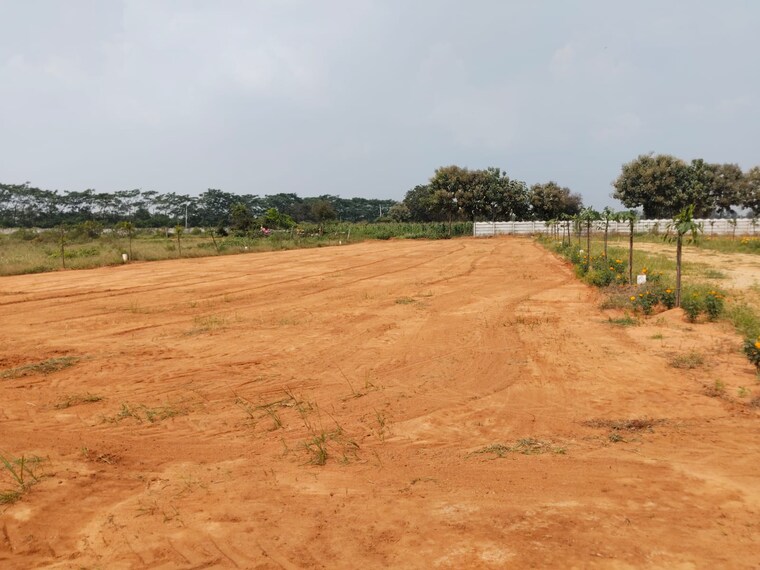 undefined, shadnagar  242 Sq.Yd. Plot In Shadnagar Hyderabad 9323500