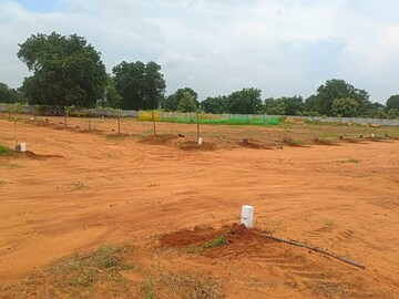 Plot Area in  Plot at Shadnagar – for Sale
