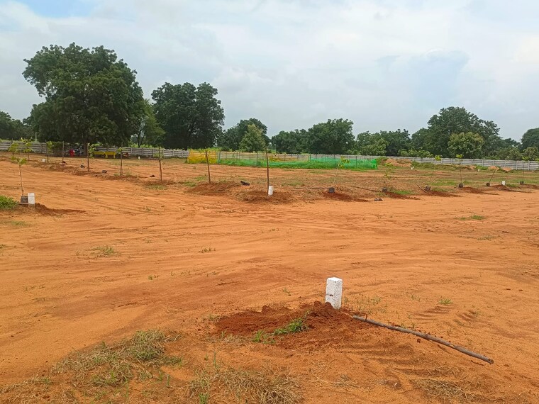 undefined, shadnagar  242 Sq.Yd. Plot In Shadnagar Hyderabad 9323500