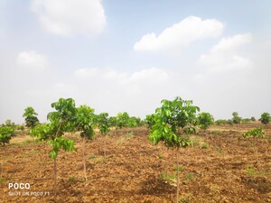 Plot Area in  Plot at Narayankhed – for Sale