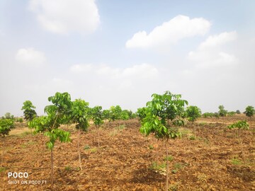 Plot Area in  Plot at Narayankhed – for Sale