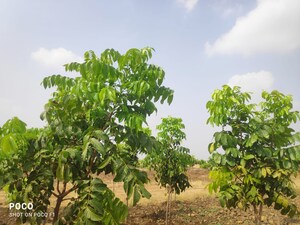  Plot – Garden View at Narayankhed - for Sale