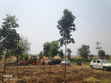 Plot Area in  Plot at Sangareddy – for Sale