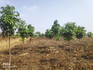 Plot Area in  Plot at Sangareddy – for Sale