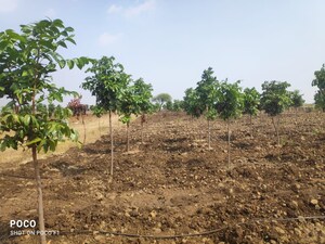  Plot For Sale in Sangareddy