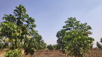 Plot Area in  Plot at Sangareddy – for Sale