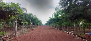 Plot Area in  Plot at Manneguda – for Sale