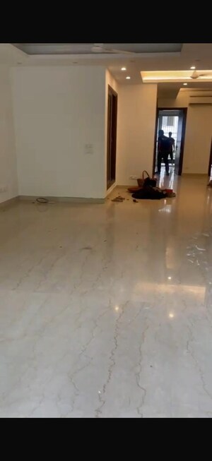 3 BHK Builder Floor For Rent in Chittaranjan Park