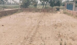  Plot For Sale in Dera Mandi