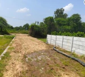  Plot For Sale in Dera Mandi