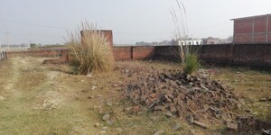 Plot Area in  Land at Sarnath – for Sale
