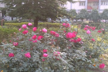 2 BHK Apartment – Garden View at Rail Vihar, Rajarhat - for Rent