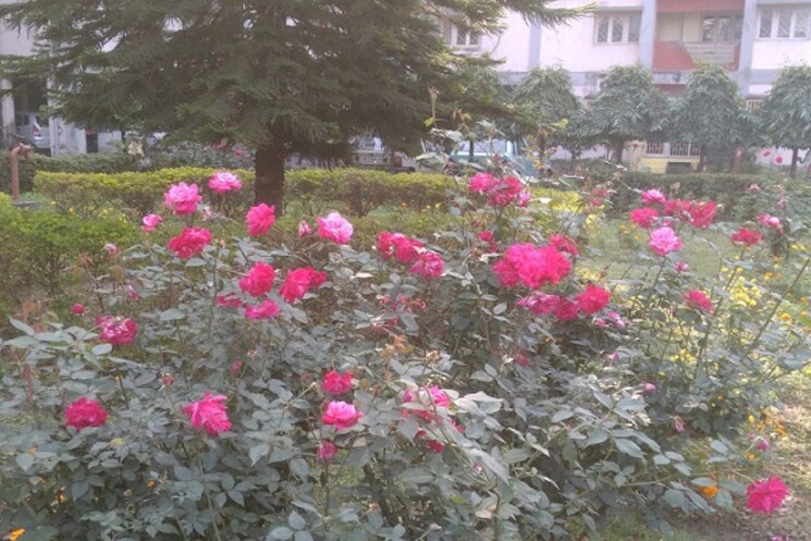 Garden, rail-vihar 2 Bedroom 750 Sq.Ft. Apartment In Rajarhat Kolkata 9323784