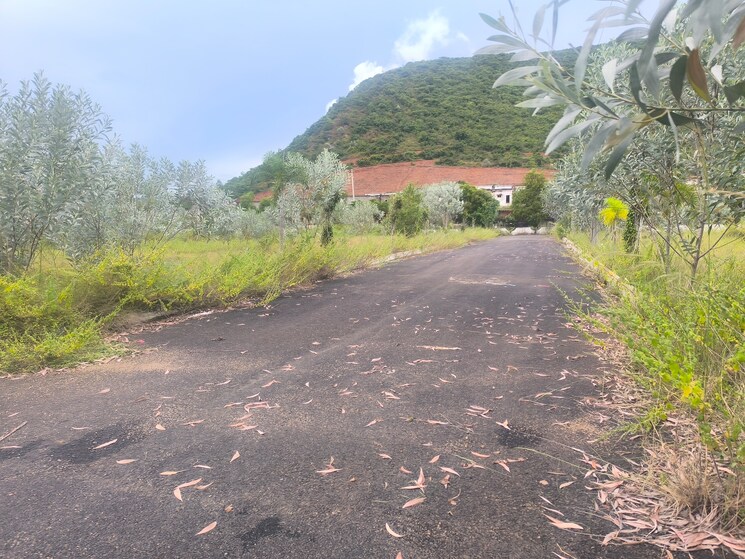 Garden, building-blocks-true-residency  167 Sq.Yd. Plot In Anandapuram Vizag 9323821